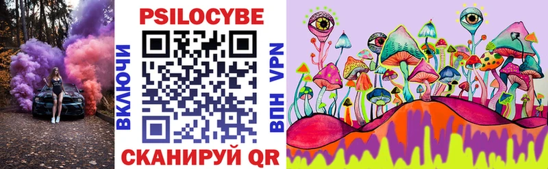 купить  сайты  Княгинино  Псилоцибиновые грибы прущие грибы 
